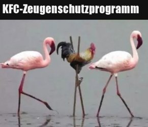 4Unbenannt - Kopie.JPG