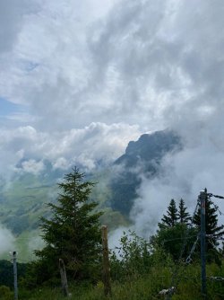 Appenzell_1.jpg