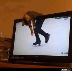 1627113248312.jpeg