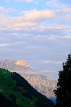 DSCF1974.jpg
