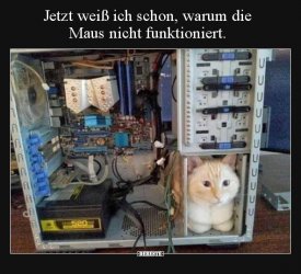1627452460766.jpeg