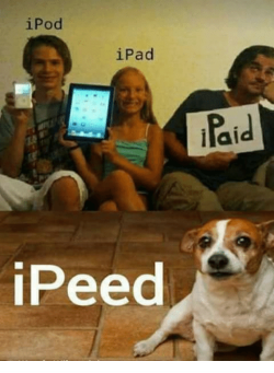 1627537395713.png
