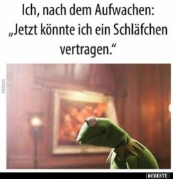 Moin_Aufwachen.jpg