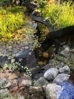 IMG_4481 (002).jpg