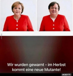 1627805254267.png