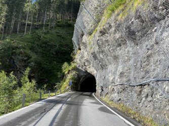 IMG_2017-klein.JPG
