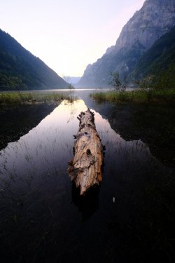 DSCF9344.jpg