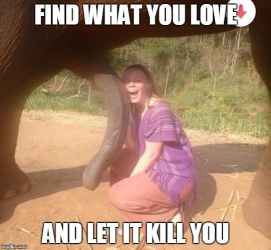 1628960984172.png