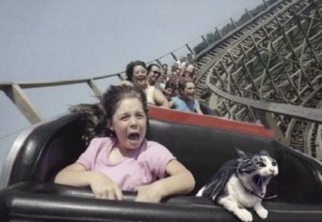 tUnbenannt - Kopie.JPG