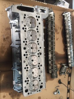 IMG_8258.JPG IMG_8258.JPG