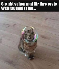 E55A7B8C-11F3-40BA-8A47-2A2CA12C0A74.jpeg