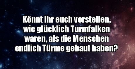 3Unbenannt - Kopie.JPG