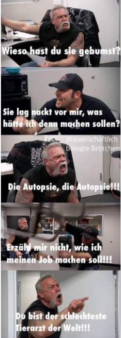 1629962268808.png