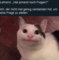 E643CB5D-9F5C-4F8A-8F4A-5D623A045E54.jpeg