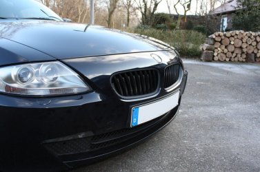 carbon-nieren-z4-2.jpg