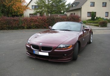 zetti 2.jpg