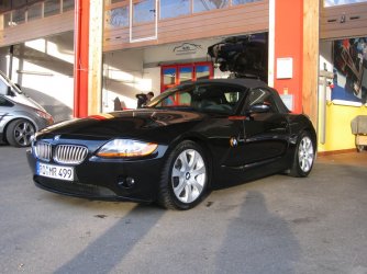 IMG_1381.jpg