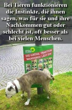 3Unbenannt - Kopie.JPG