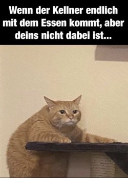 5E6FC615-7C9F-472E-897F-A39E25C99DF3.jpeg