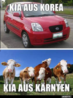 1630656667520.png