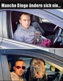 01F354C1-239B-439F-9D2A-3E57A017BC22.jpeg