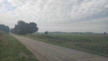 IMG-20210907-WA0000.jpeg