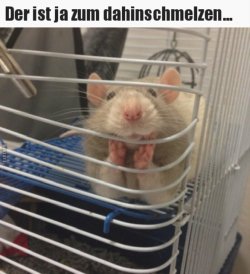 79DBBEBA-D7B4-49A7-BB4A-9E6CEFCE3267.jpeg