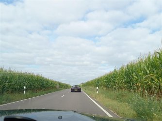 20210912_103336.jpg