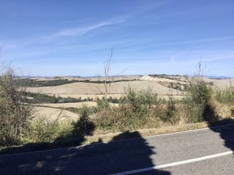 E7EA4595-DBD5-4C42-B78D-7448353E2CD2.jpeg E7EA4595-DBD5-4C42-B78D-7448353E2CD2.jpeg