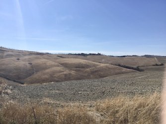 2D5879EA-D379-45AA-8E69-C0D668B518B0.jpeg 2D5879EA-D379-45AA-8E69-C0D668B518B0.jpeg