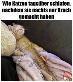 22500049-2B94-4D5B-9DA4-7DA3855A13C2.jpeg