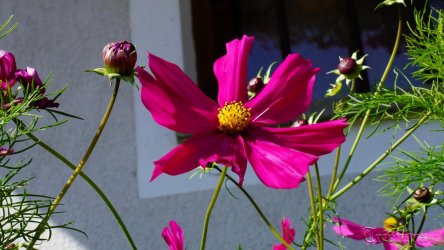 DSC03845.JPG