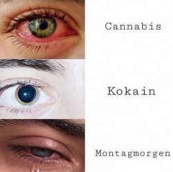 7Unbenannt - Kopie.JPG