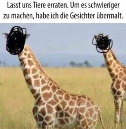 8Unbenannt - Kopie.JPG