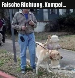 530FE64C-1404-43CB-B81E-7BF0EA5F2E71.jpeg