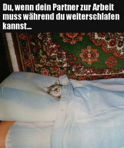 E5DF4602-F558-4205-A595-9B8831D223D1.jpeg
