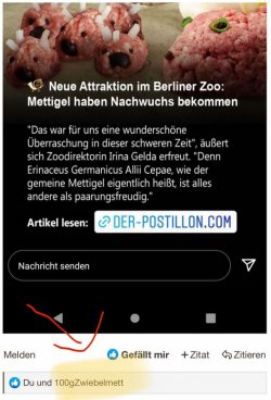 1Unbenannt - Kopie.JPG