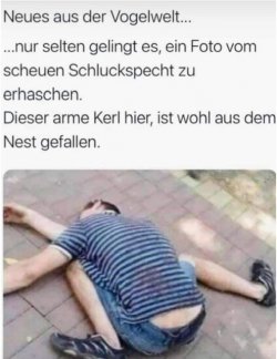 69DF34DC-6C75-4454-966A-0E0A763D09D6.jpeg