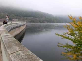 08873f81-725e-4e26-805c-a7dbac048aaf.jpg