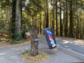 IMG_1301_1.JPG IMG_1301_1.JPG