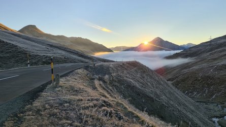 morning albula.jpg