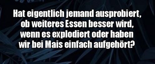 1Unbenannt - Kopie.JPG