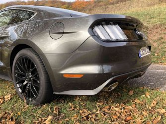 Mustang6_0214.jpg