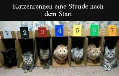 3Unbenannt - Kopie.JPG