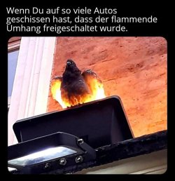 B38F5A3A-A189-4A0F-91CE-91D16BA76F5C.jpeg