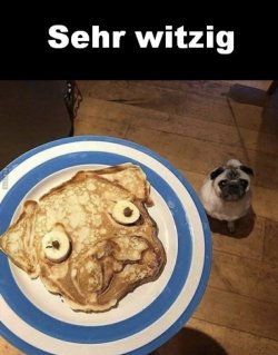 01D872A8-32BD-4B9A-9CF4-16D3192D529F.jpeg