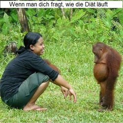 diaet.jpg