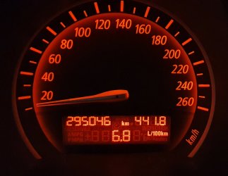 295046.jpg