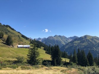 IMG_4203.jpg