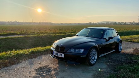 z31.jpg